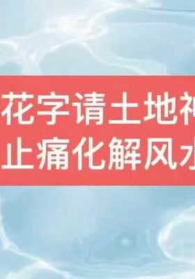【请土地法】莲华藏倾莲池更灵验的骑龙花字请土地法💰5