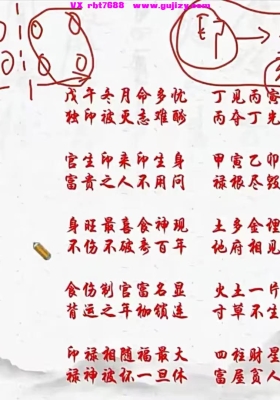 易达八字真传一期 视频6集-每集3小时左右💰5