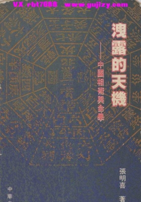 《泄露的天机 中国相术与命学》💰5