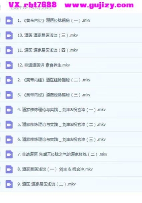 祝玄冲道长【道医学】12集视频课程💰5