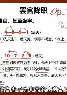 杨振炜《数字命理实战营》教学视频45集💰5