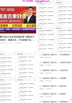 潘保伟精准舌象针灸 132集视频课💰5