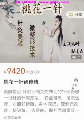 孙星云【桃花一针】针灸美雕-线上网课 视频3集课程💰5