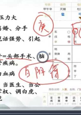路阳2024年奇门遁甲（6天全）视频6集💰5