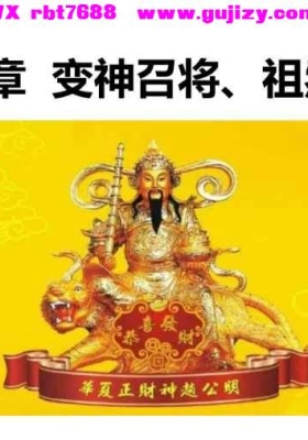 玄檀赵元帅招财秘法 视频+文档💰5