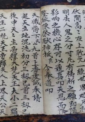 《大饭回熟科》混沌回熟大饭科💰6