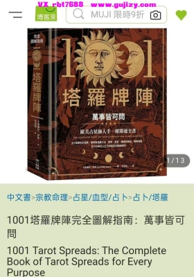 《1001塔罗牌阵完全图解指南》💰5