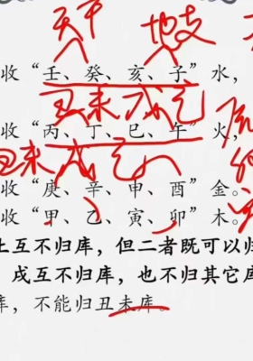 持敏老师《鸣法奇门》教学视频30集💰5