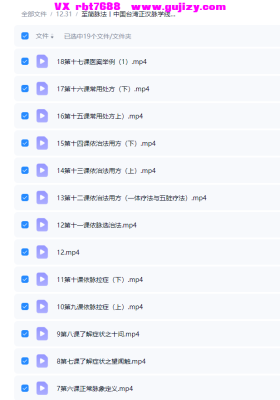 至简脉法丨中国台湾正汉脉学线上系列课19集💰5