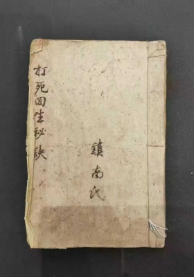 《打死回生秘诀》镇南氏💰5