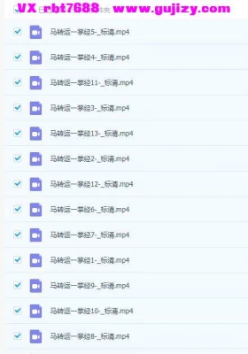 马转运 一掌经14集 视频💰5