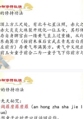 鹤元：太玄灵阳回梦一宗 视频➕文档💰5