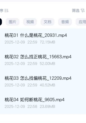 敏真道长如何找正桃花和斩桃花视频四集💰5