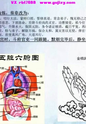志航-道门内修真诀视频+课件💰5