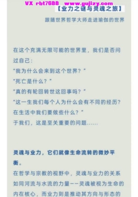 业力之谜与灵魂之旅三集视频课💰5