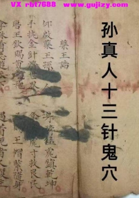 《孙真人十三针鬼穴》💰6