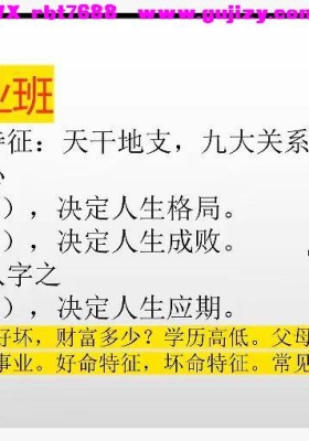 宝辉《四柱-职业精髓》9集 视频课💰5