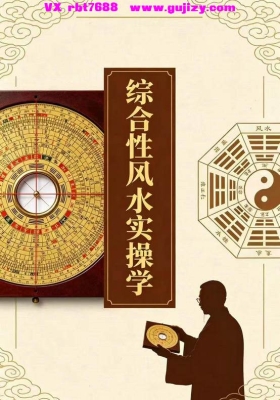 《综合性风水案例实操学》💰5