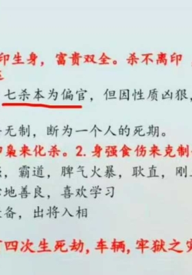 金莉老师《八字直播回放》教学视频19集💰5