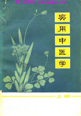 《实用中医学》上下册 💰5