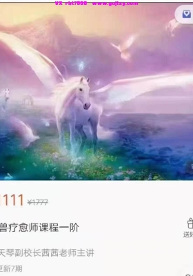 【疗愈课程】新天琴『神兽疗愈师』 初阶7集视频课💰5