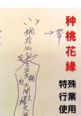 旺桃花古方+桃花缘法 文档💰5