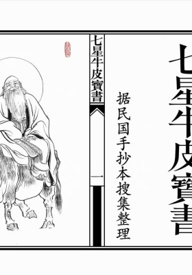 符法治病《七星牛皮宝书》治煞￥5