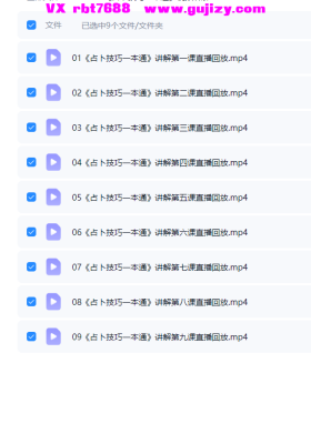曾庆喜《占卜技巧一本通》视频讲解9集💰5
