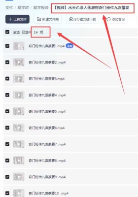 水天乙道人朱源熙奇门秘传九宫纂要 视频13集 💰5