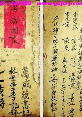 《万病回春》救世堂💰5