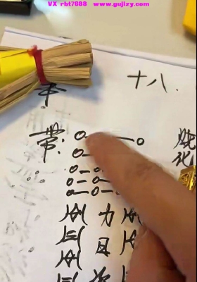 罗道旺入门课视频16集+文档💰5