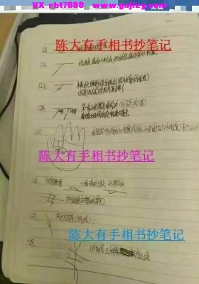 陈鼎龙之子陈大有手相手抄笔记💰5
