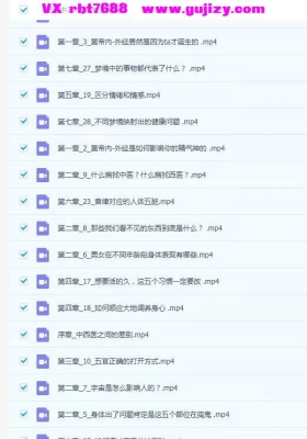 蔡亮华皇帝内经 完整版29节 视频课💰5