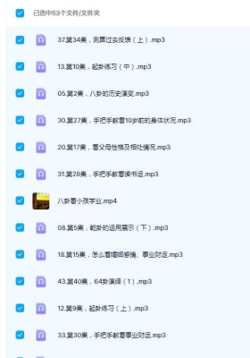 李东水《八卦学》专业课53节音频课