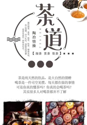 禅茶一味悟道人生12集视频课💰5