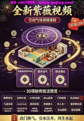 全新紫薇视频课，紫薇风水调气场趋吉避凶 风水布局3集💰8