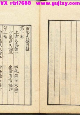 《重广补注黄帝内经素问》王冰💰5