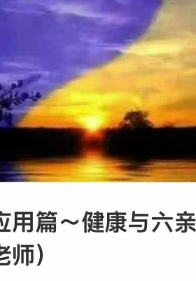 贺侨莉·八字应用健康与六亲102集视频课 💰5