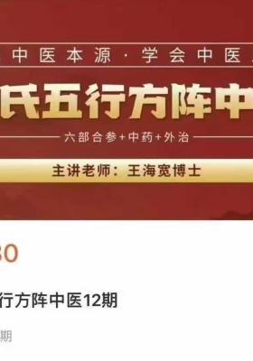 【中医】王海宽博士 王氏五行方阵中医 全34讲视频课💰5