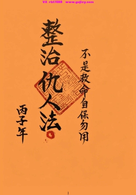 《整治仇人法》💰5