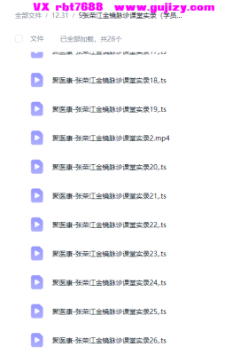 张荣江金镜脉诊课堂实录（学员专用28集）💰5