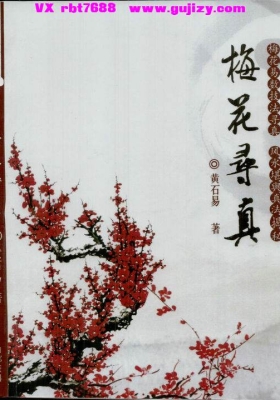 《梅花寻真》化解布局 黄石易💰5