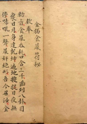 《金猫食鼠符秘》💰5