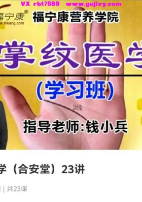 【养生保健】掌纹医学（合安堂）23讲 视频课💰5