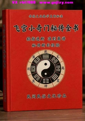 《古法秘传飞宫小奇门》飞宫小奇门秘传全书💰5