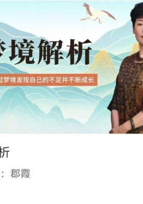 【释梦课程】如是禅说梦境解析30集视频课💰5