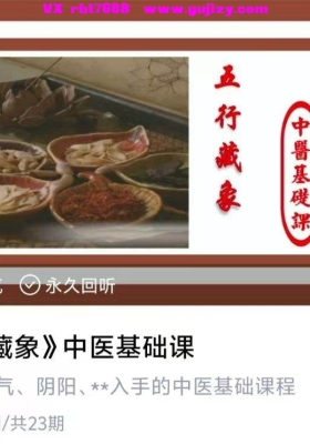 李老师天道五术音频合集💰5