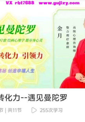 创造力转化力--遇见曼陀罗11集视频课💰5
