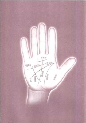 《掌纹诊病实用大全》江滨💰5