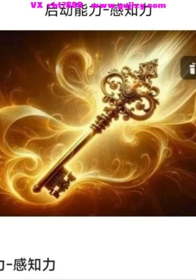 启动能力-感知力：解锁内在智慧的密钥12集视频课💰5